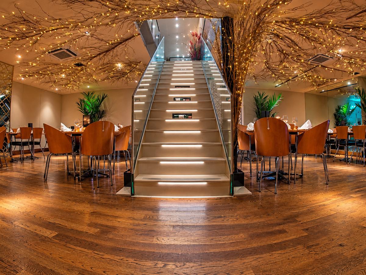 The glowing staircase under the lit tree